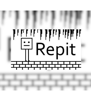 Repit Steam Key GLOBAL